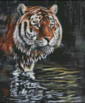 (image for) River Walk
